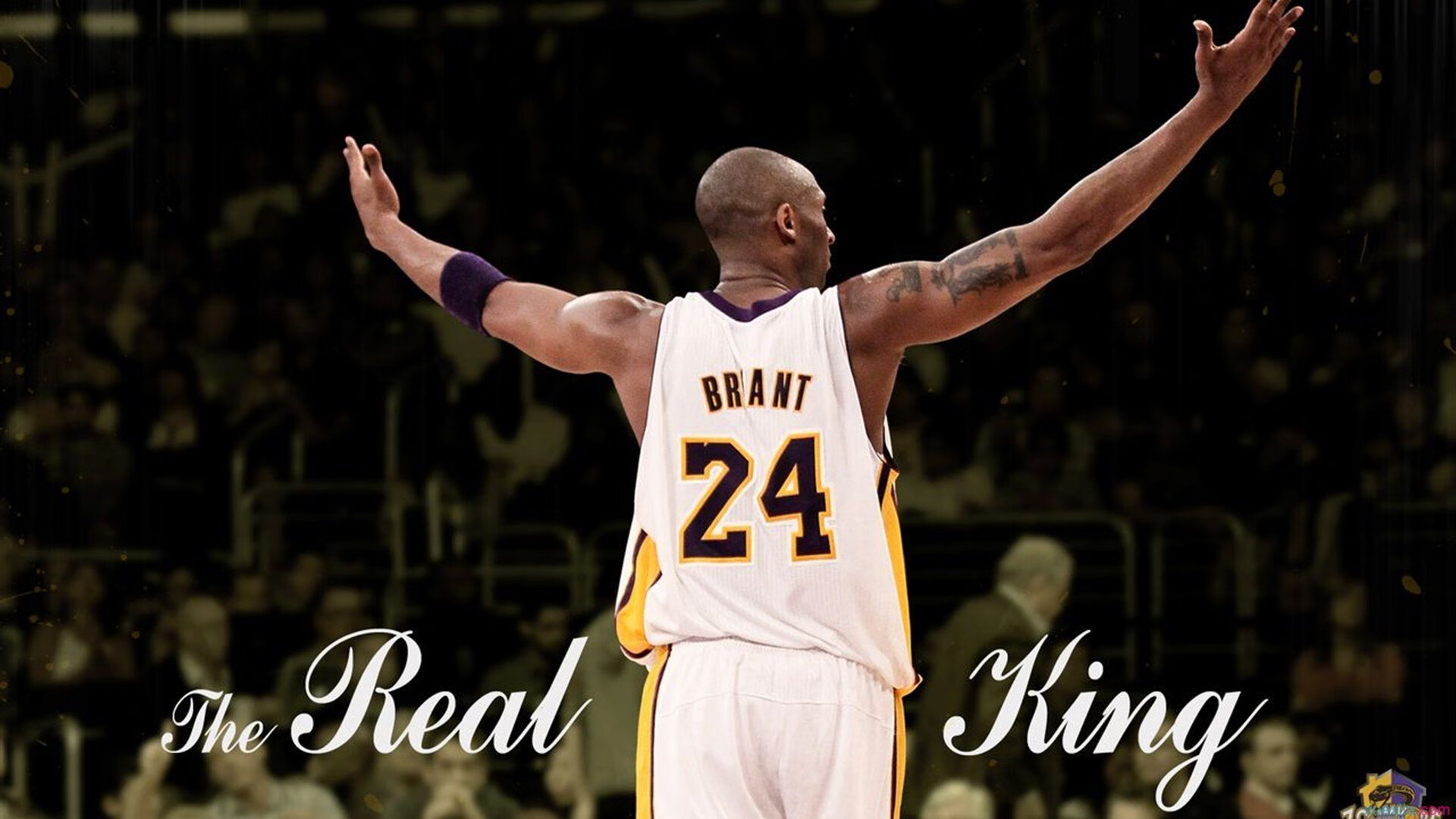 步行者对阵浙江队，拉文展现巨星价值，一记绝杀背后的篮球哲学